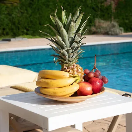 Erato With Private Swimming Pool *
