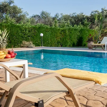 Erato With Private Swimming Pool * Halikounas